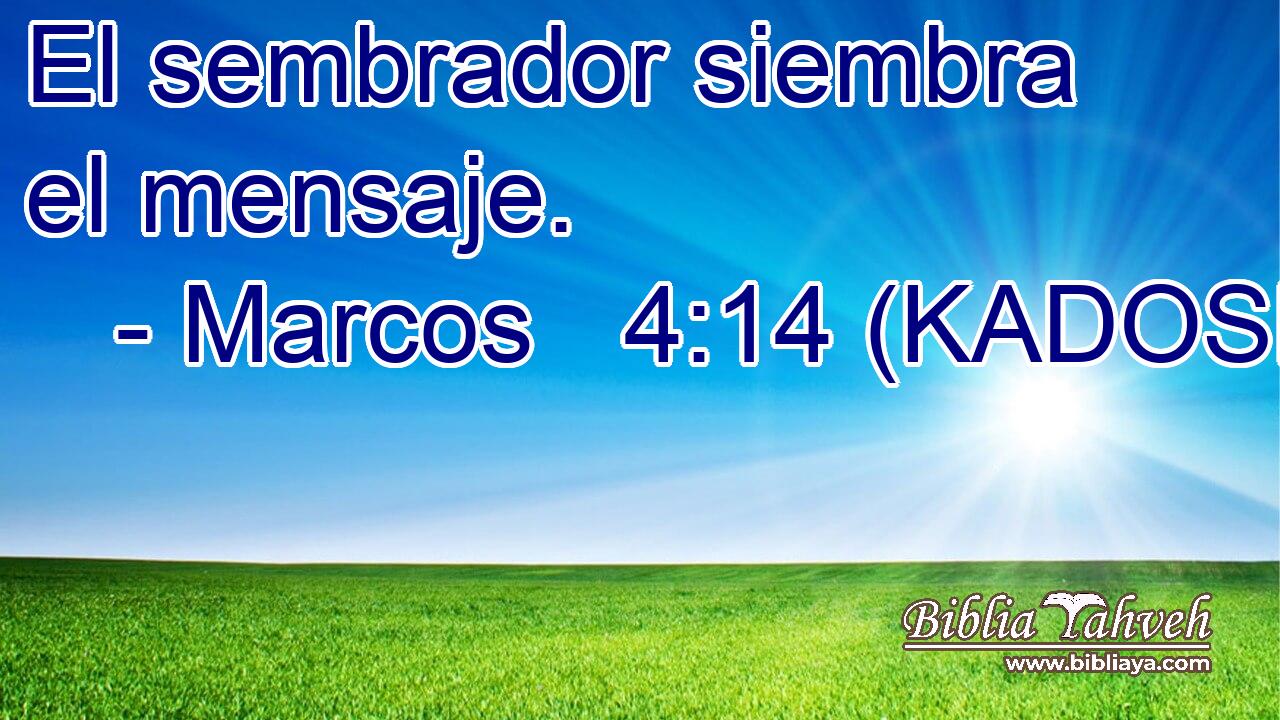  El sembrador siembra el mensaje. 