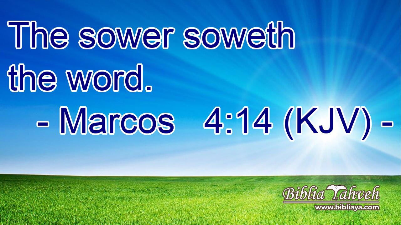 The sower soweth the word.