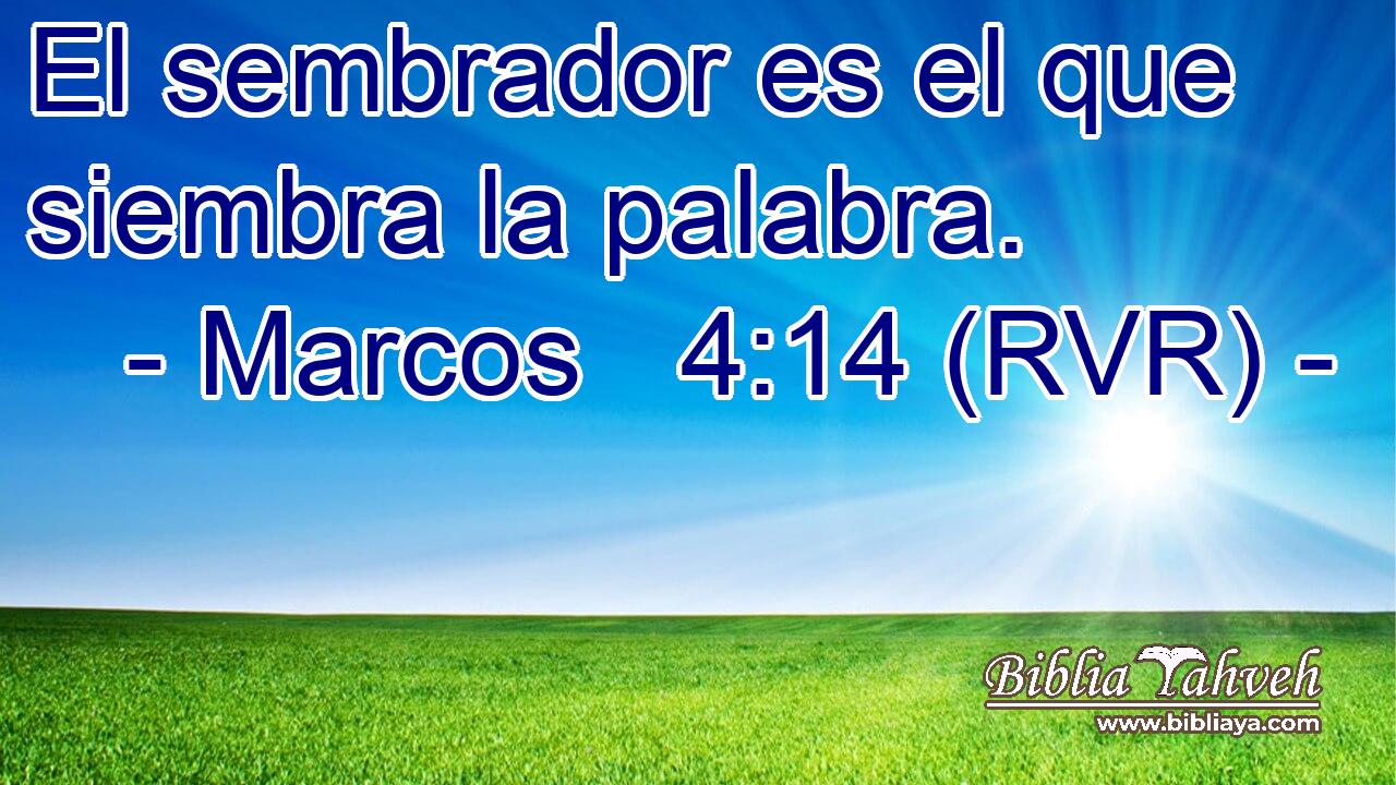 El sembrador es el que siembra la palabra.