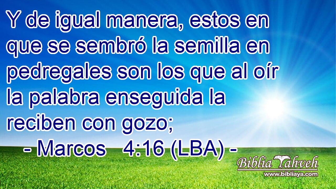 Y de igual manera, estos en que se sembró la semilla en pedregales son los que al oír la palabra enseguida la reciben con gozo;