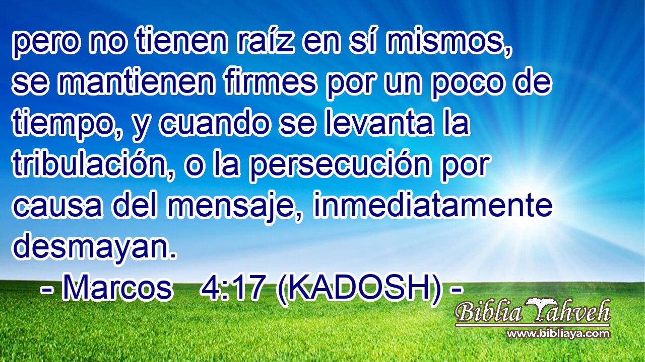  pero no tienen raíz en sí mismos, se mantienen firmes por un poco de tiempo, y cuando se levanta la tribulación, o la persecución por causa del mensaje, inmediatamente desmayan. 