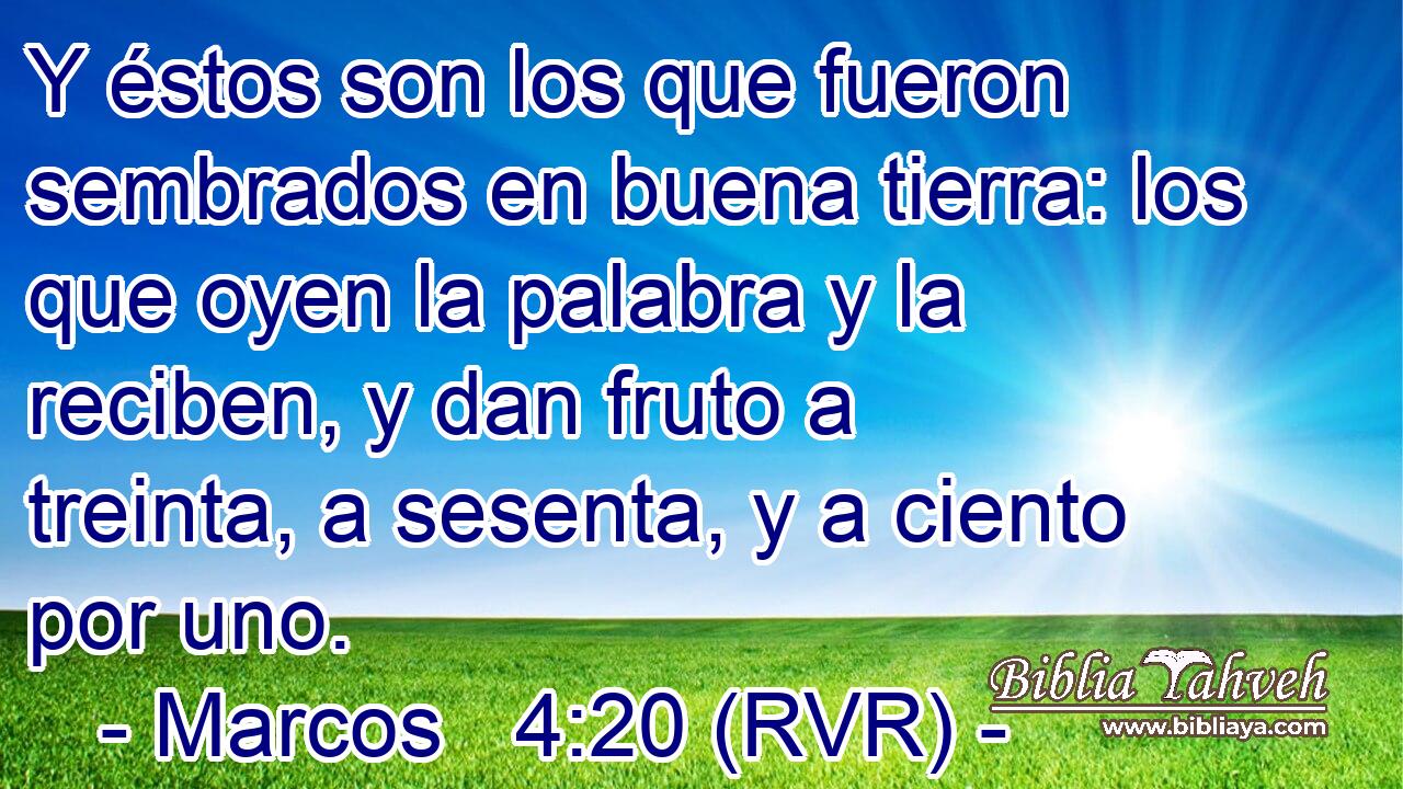 Y éstos son los que fueron sembrados en buena tierra: los que oyen la palabra y la reciben, y dan fruto a treinta, a sesenta, y a ciento por uno.