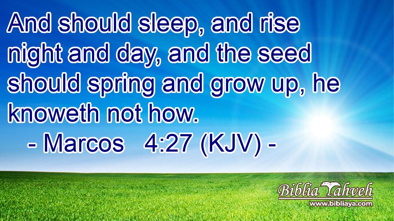 And should sleep, and rise night and day, and the seed should spring and grow up, he knoweth not how.
