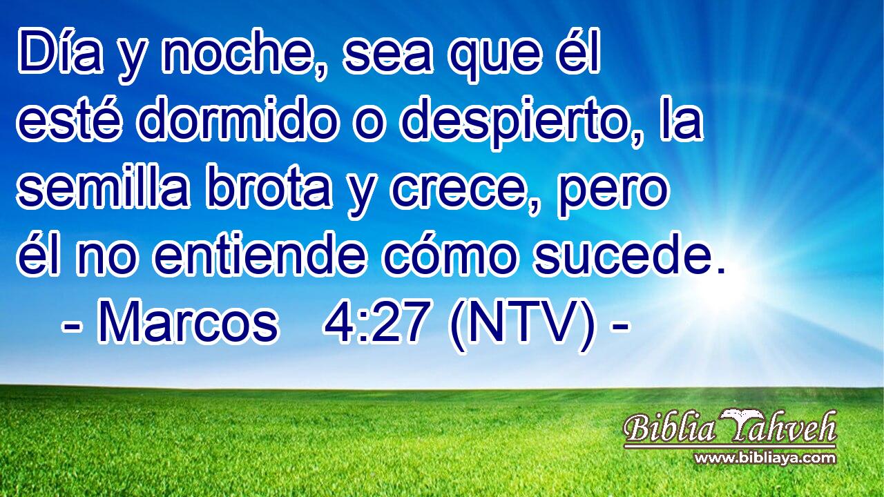 Día y noche, sea que él esté dormido o despierto, la semilla brota y crece, pero él no entiende cómo sucede.