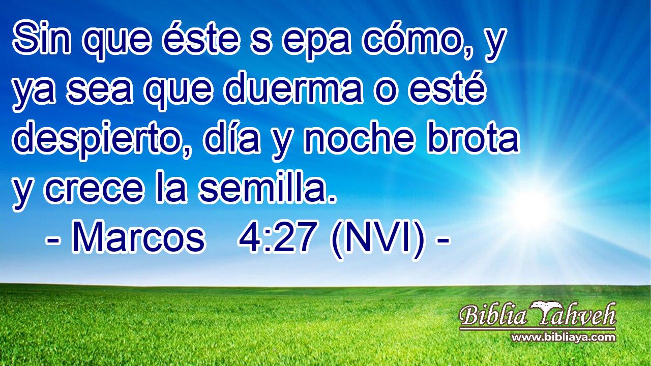  Sin que éste s epa cómo, y ya sea que duerma o esté despierto, día y noche brota y crece la semilla. 
