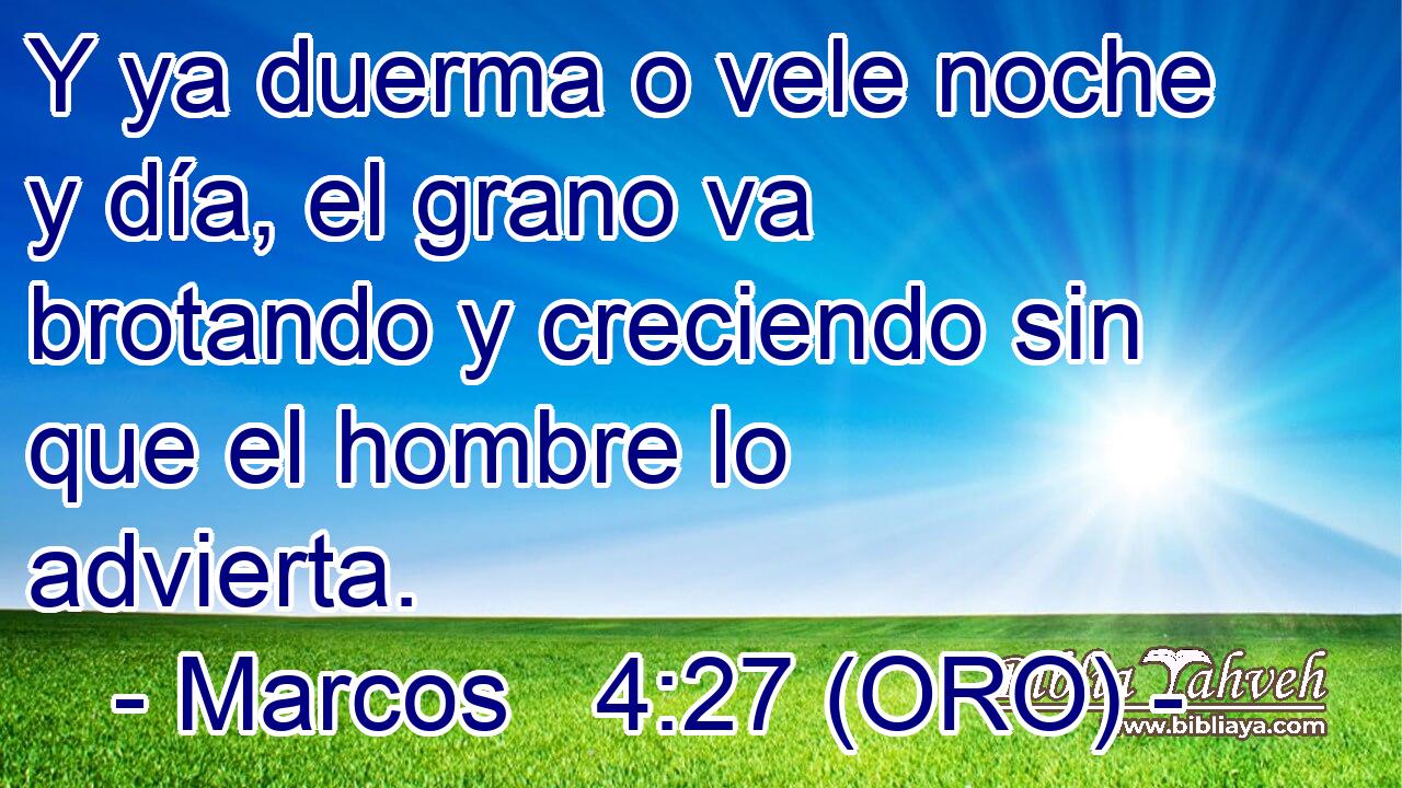  Y ya duerma o vele noche y día, el grano va brotando y creciendo sin que el hombre lo advierta. 