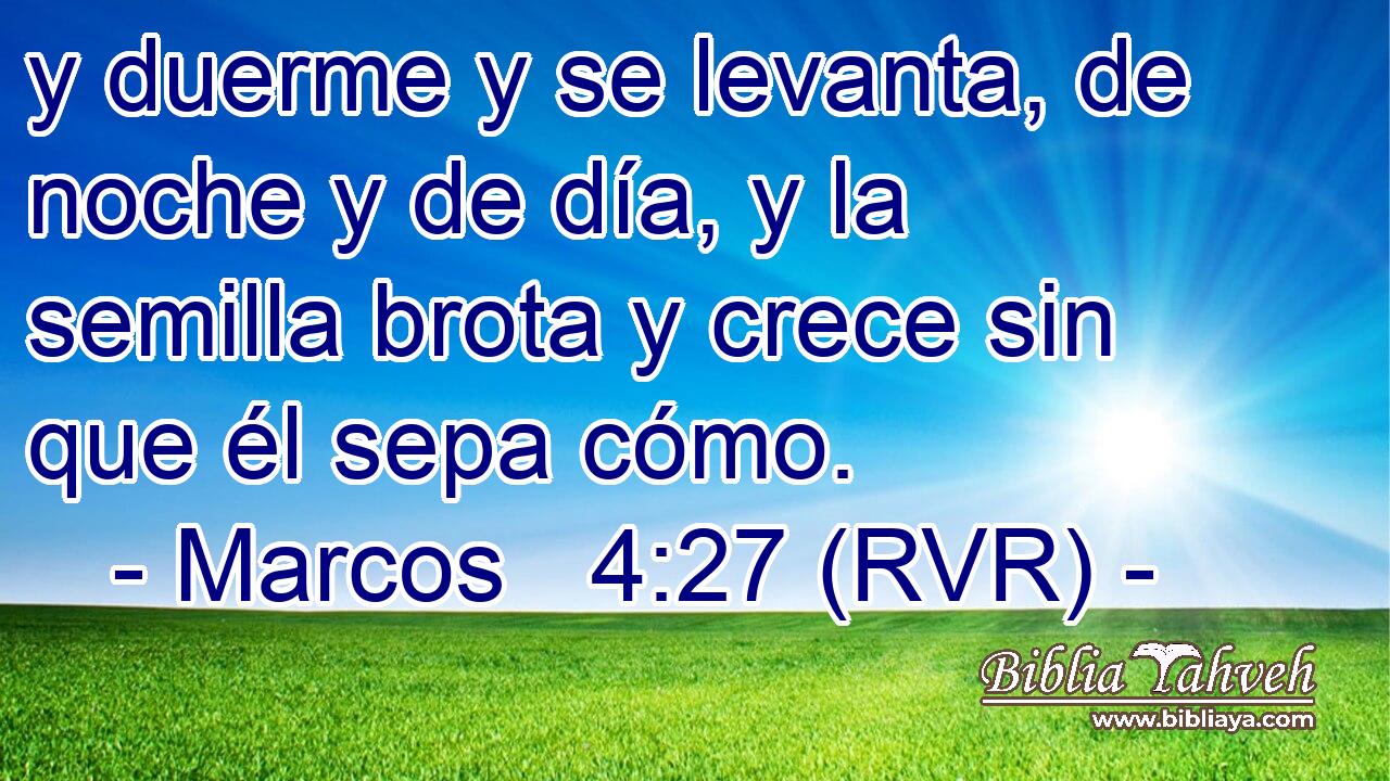 y duerme y se levanta, de noche y de día, y la semilla brota y crece sin que él sepa cómo.