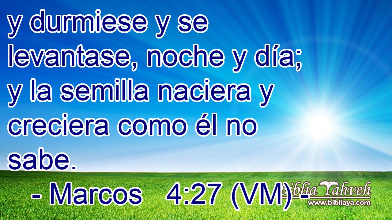  y durmiese y se levantase, noche y día; y la semilla naciera y creciera como él no sabe. 