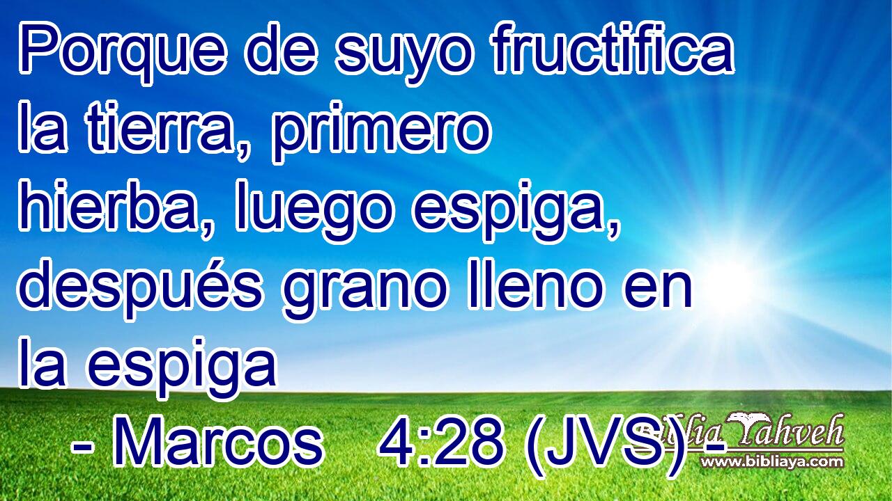 Porque de suyo fructifica la tierra, primero hierba, luego espiga, después grano lleno en la espiga