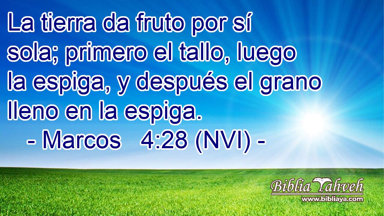  La tierra da fruto por sí sola; primero el tallo, luego la espiga, y después el grano lleno en la espiga. 