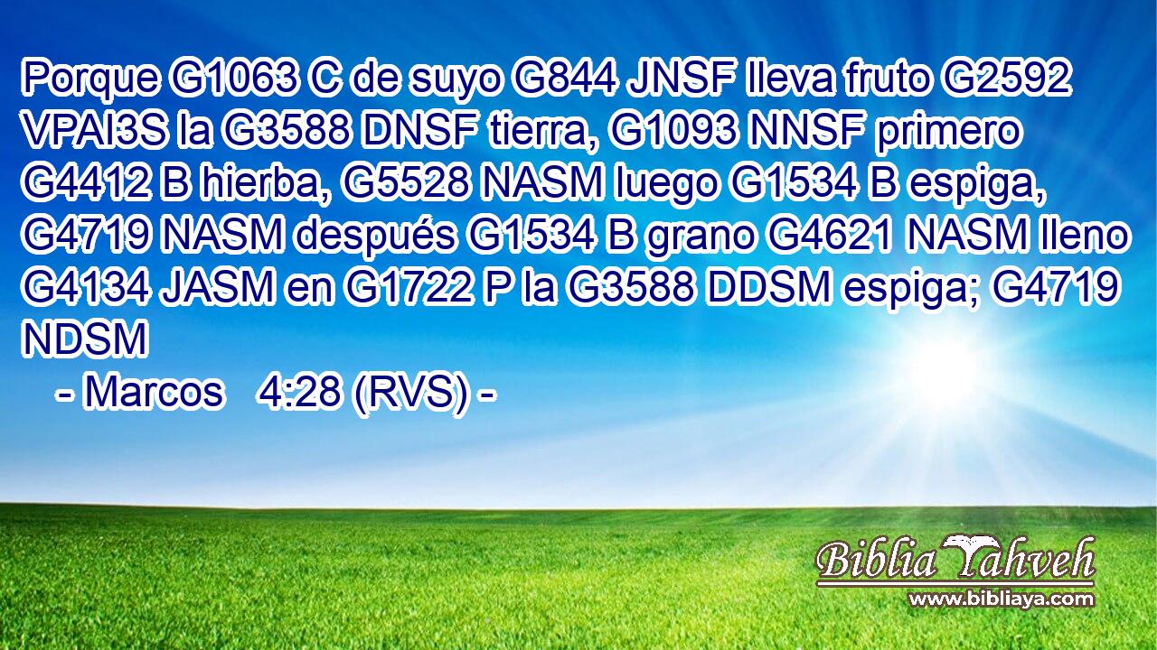 Porque G1063 C de suyo G844 JNSF lleva fruto G2592 VPAI3S la G3588 DNSF tierra, G1093 NNSF primero G4412 B hierba, G5528 NASM luego G1534 B espiga, G4719 NASM después G1534 B grano G4621 NASM lleno G4134 JASM en G1722 P la G3588 DDSM espiga; G4719 NDSM 