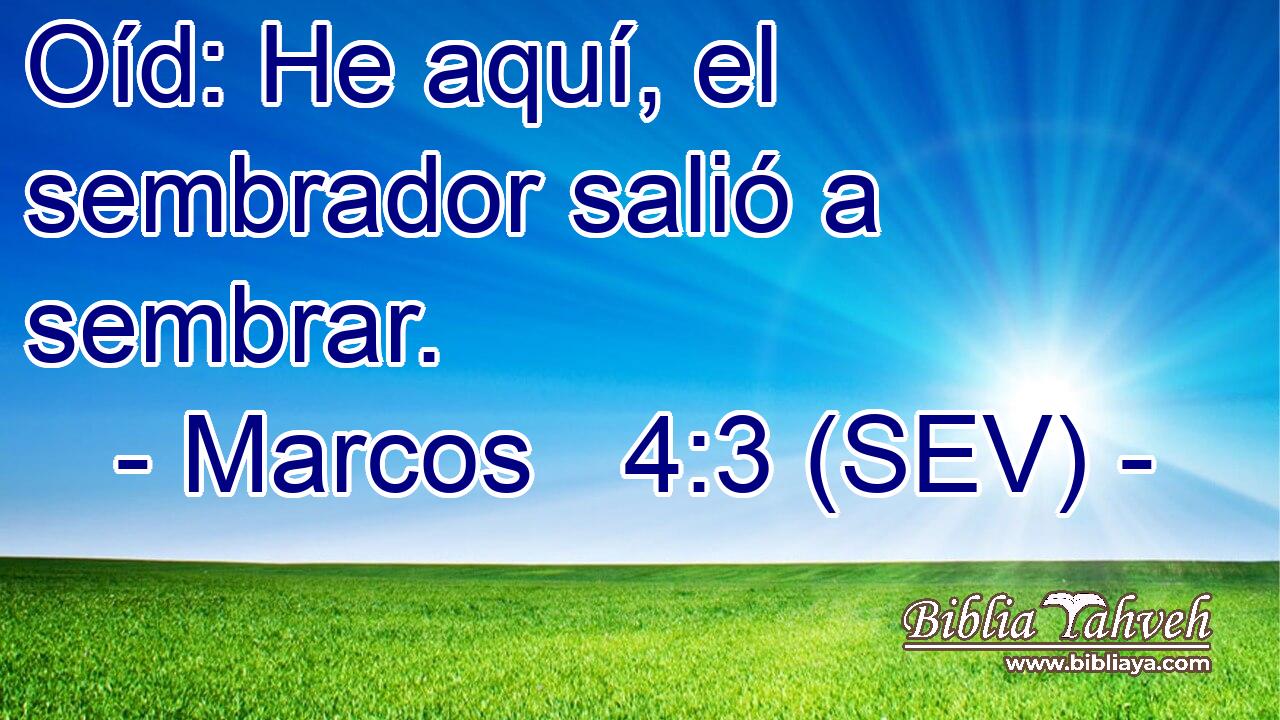 Oíd: He aquí, el sembrador salió a sembrar.