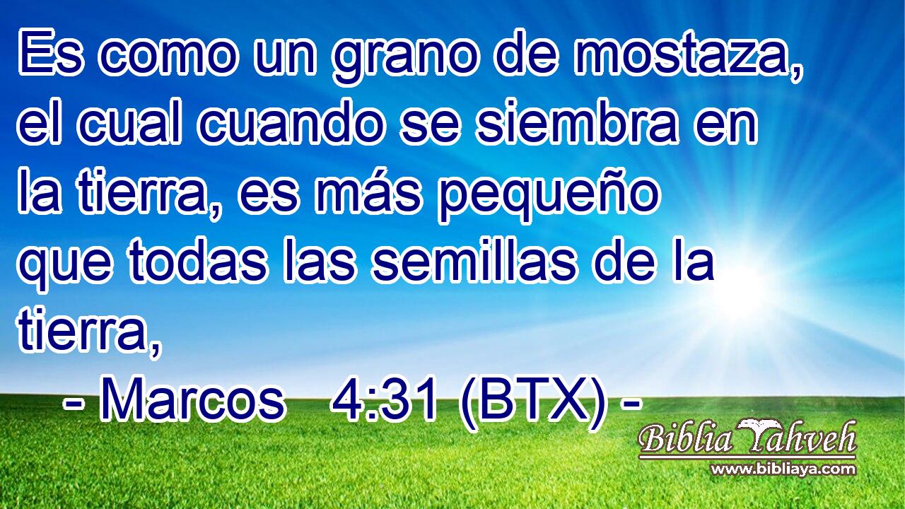 Es como un grano de mostaza, el cual cuando se siembra en la tierra, es más pequeño que todas las semillas de la tierra,