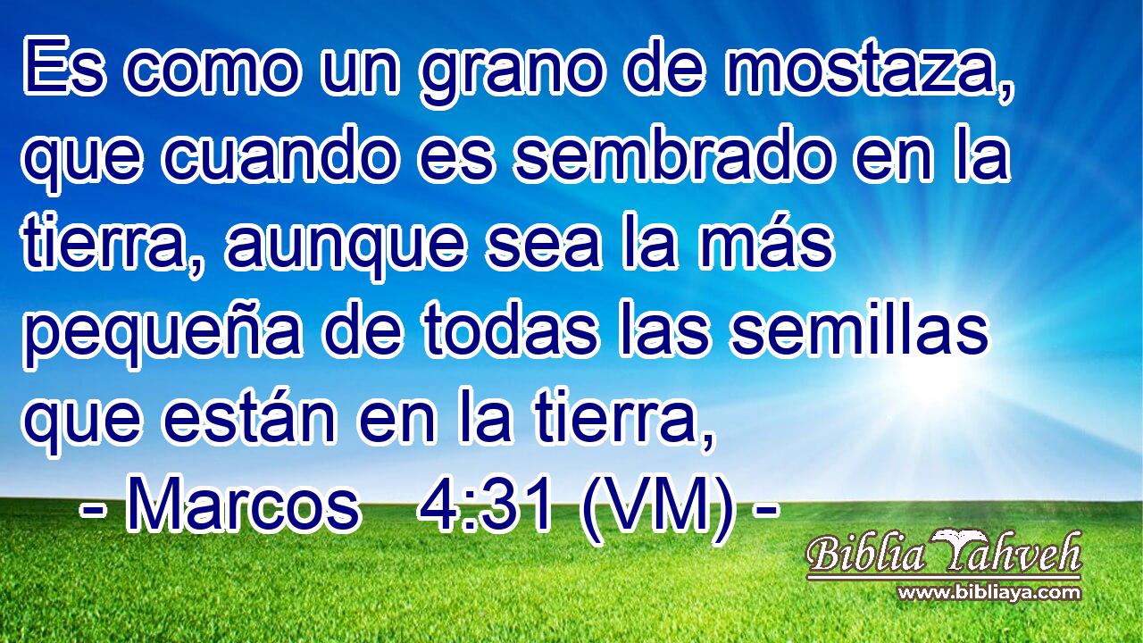  Es como un grano de mostaza, que cuando es sembrado en la tierra, aunque sea la más pequeña de todas las semillas que están en la tierra, 