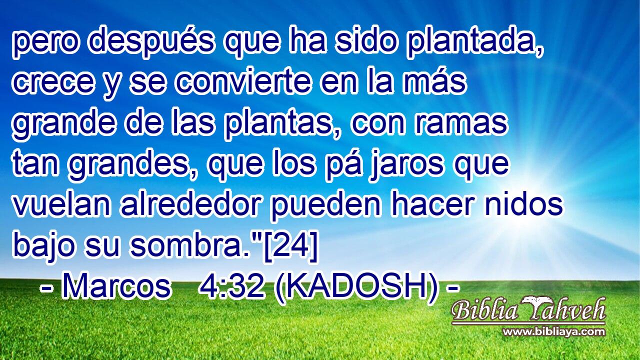  pero después que ha sido plantada, crece y se convierte en la más grande de las plantas, con ramas tan grandes, que los pá jaros que vuelan alrededor pueden hacer nidos bajo su sombra.