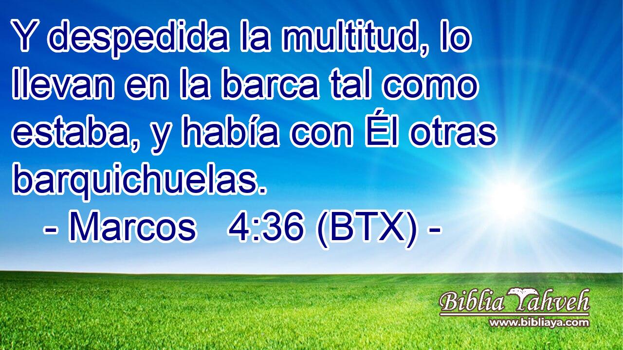 Y despedida la multitud, lo llevan en la barca tal como estaba, y había con Él otras barquichuelas.