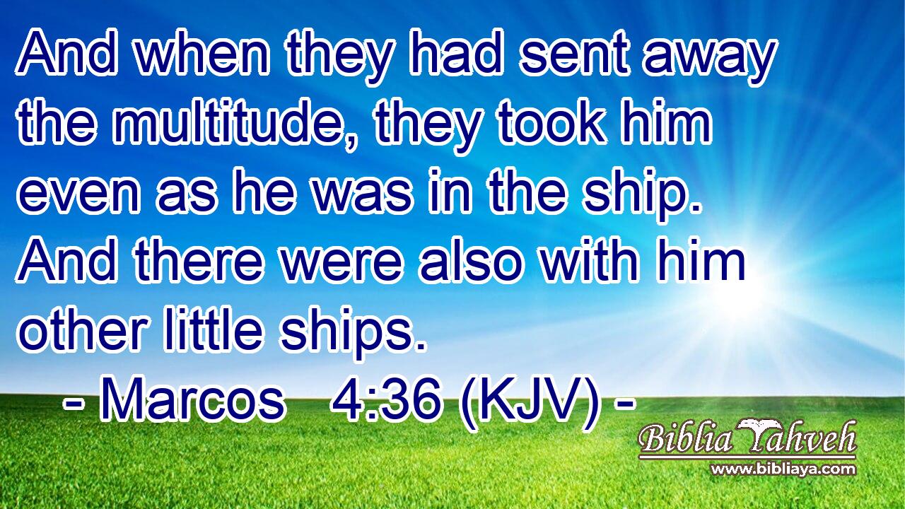 And when they had sent away the multitude, they took him even as he was in the ship. And there were also with him other little ships.