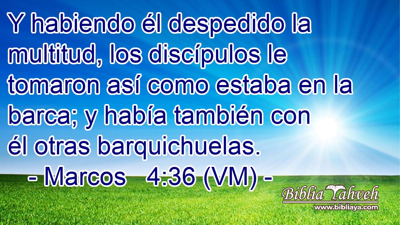  Y habiendo él despedido la multitud, los discípulos le tomaron así como estaba en la barca; y había también con él otras barquichuelas. 
