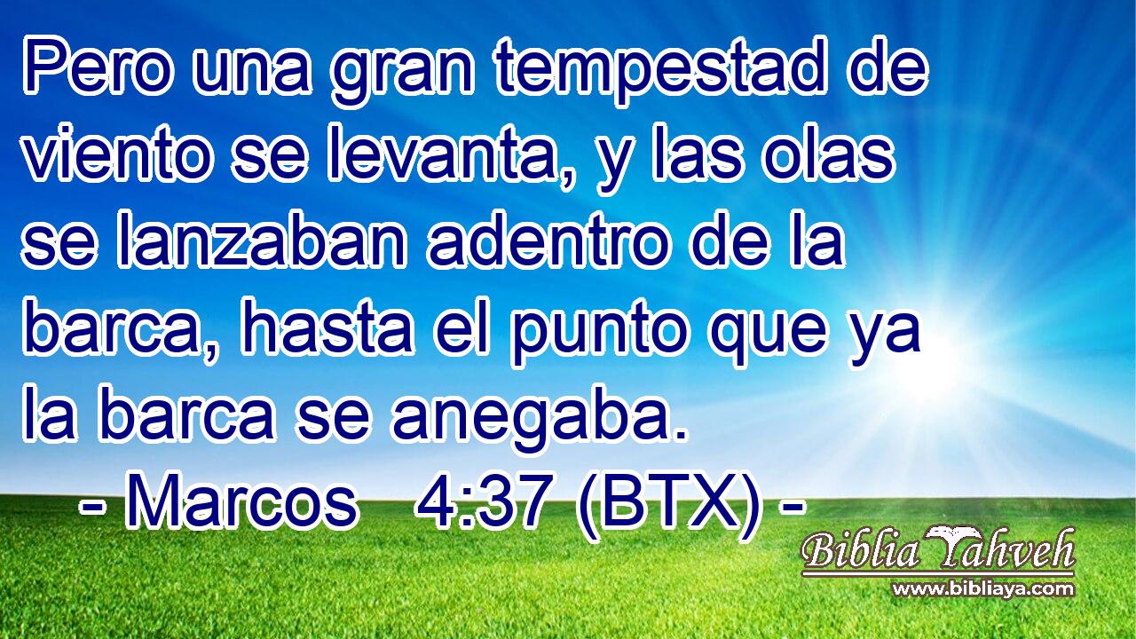 Pero una gran tempestad de viento se levanta, y las olas se lanzaban adentro de la barca, hasta el punto que ya la barca se anegaba.