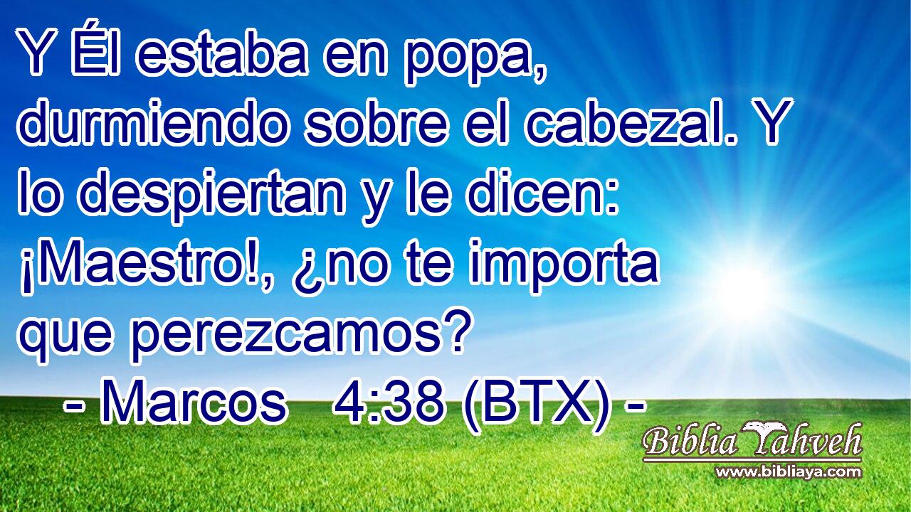 Y Él estaba en popa, durmiendo sobre el cabezal. Y lo despiertan y le dicen: ¡Maestro!, ¿no te importa que perezcamos?
