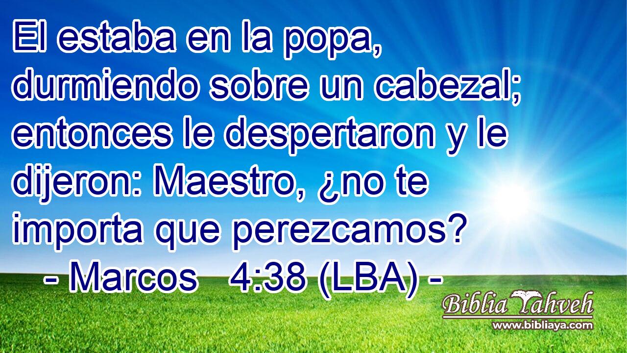 El estaba en la popa, durmiendo sobre un cabezal; entonces le despertaron y le dijeron: Maestro, ¿no te importa que perezcamos?