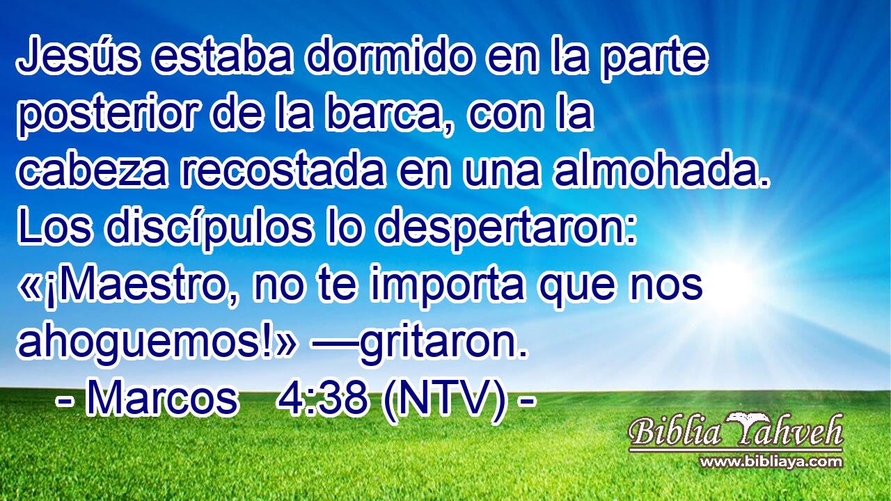 Jesús estaba dormido en la parte posterior de la barca, con la cabeza recostada en una almohada. Los discípulos lo despertaron: «¡Maestro, no te importa que nos ahoguemos!» —gritaron.