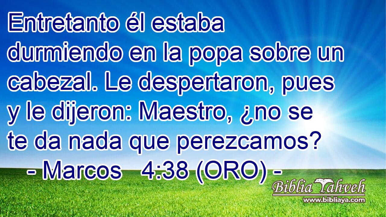  Entretanto él estaba durmiendo en la popa sobre un cabezal. Le despertaron, pues y le dijeron: Maestro, ¿no se te da nada que perezcamos? 