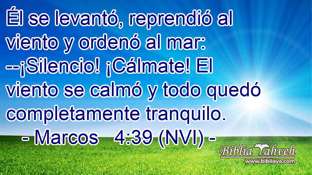  Él se levantó, reprendió al viento y ordenó al mar: --¡Silencio! ¡Cálmate! El viento se calmó y todo quedó completamente tranquilo. 
