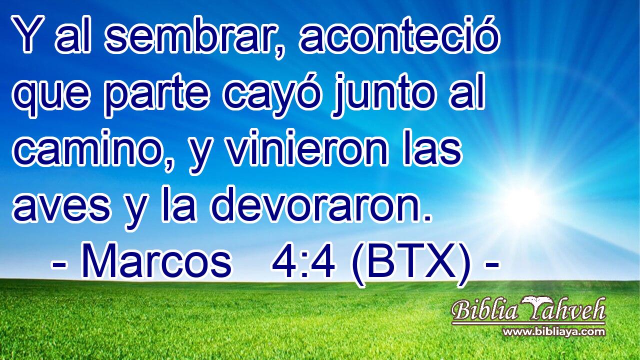 Y al sembrar, aconteció que parte cayó junto al camino, y vinieron las aves y la devoraron.