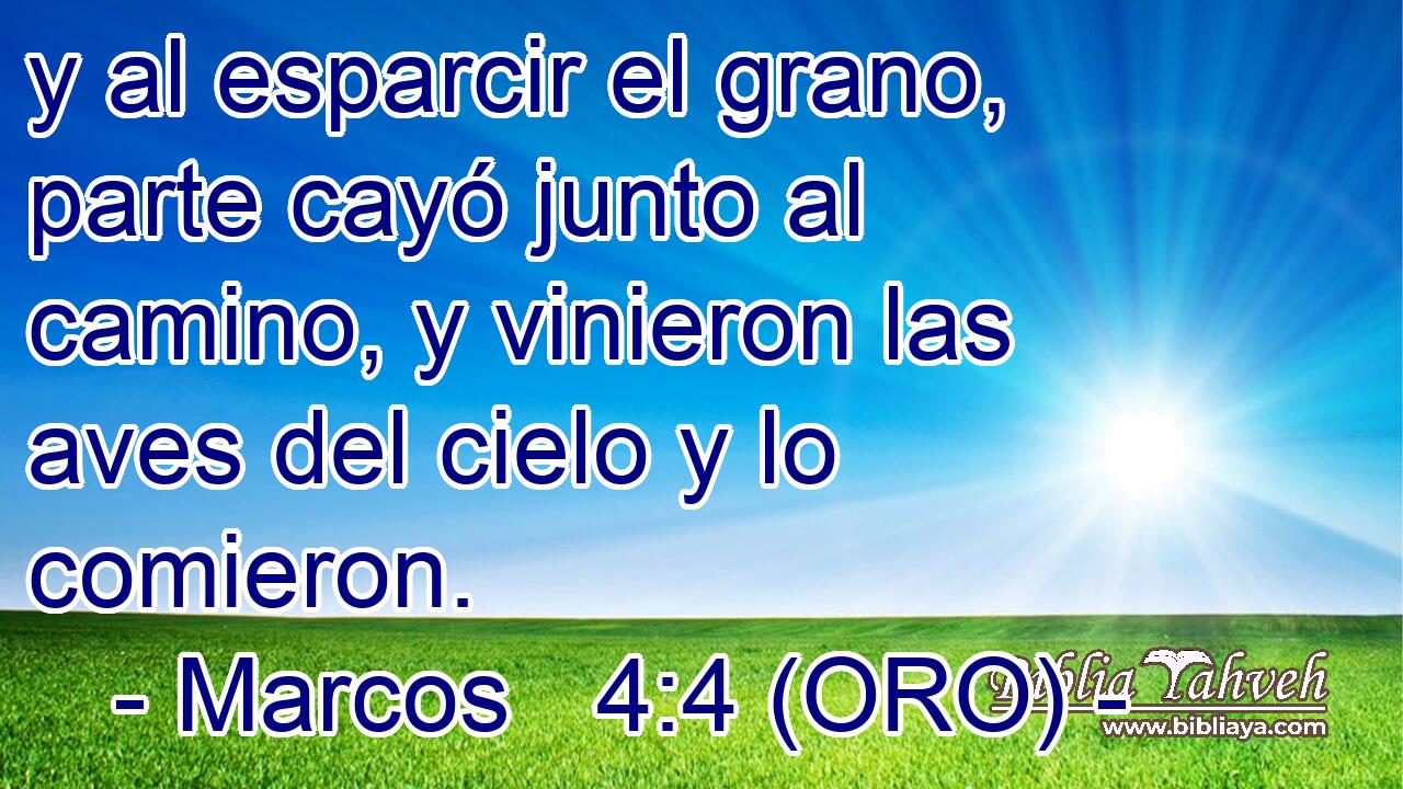  y al esparcir el grano, parte cayó junto al camino, y vinieron las aves del cielo y lo comieron. 