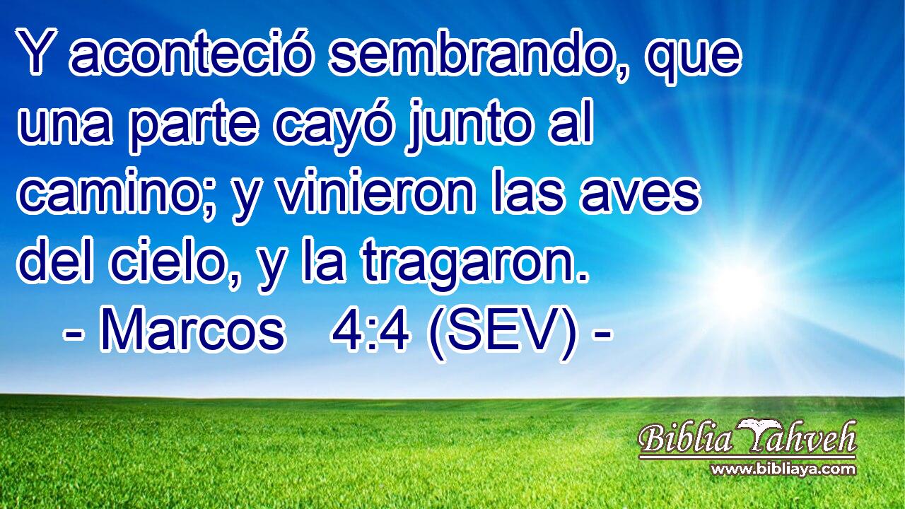 Y aconteció sembrando, que una parte cayó junto al camino; y vinieron las aves del cielo, y la tragaron.