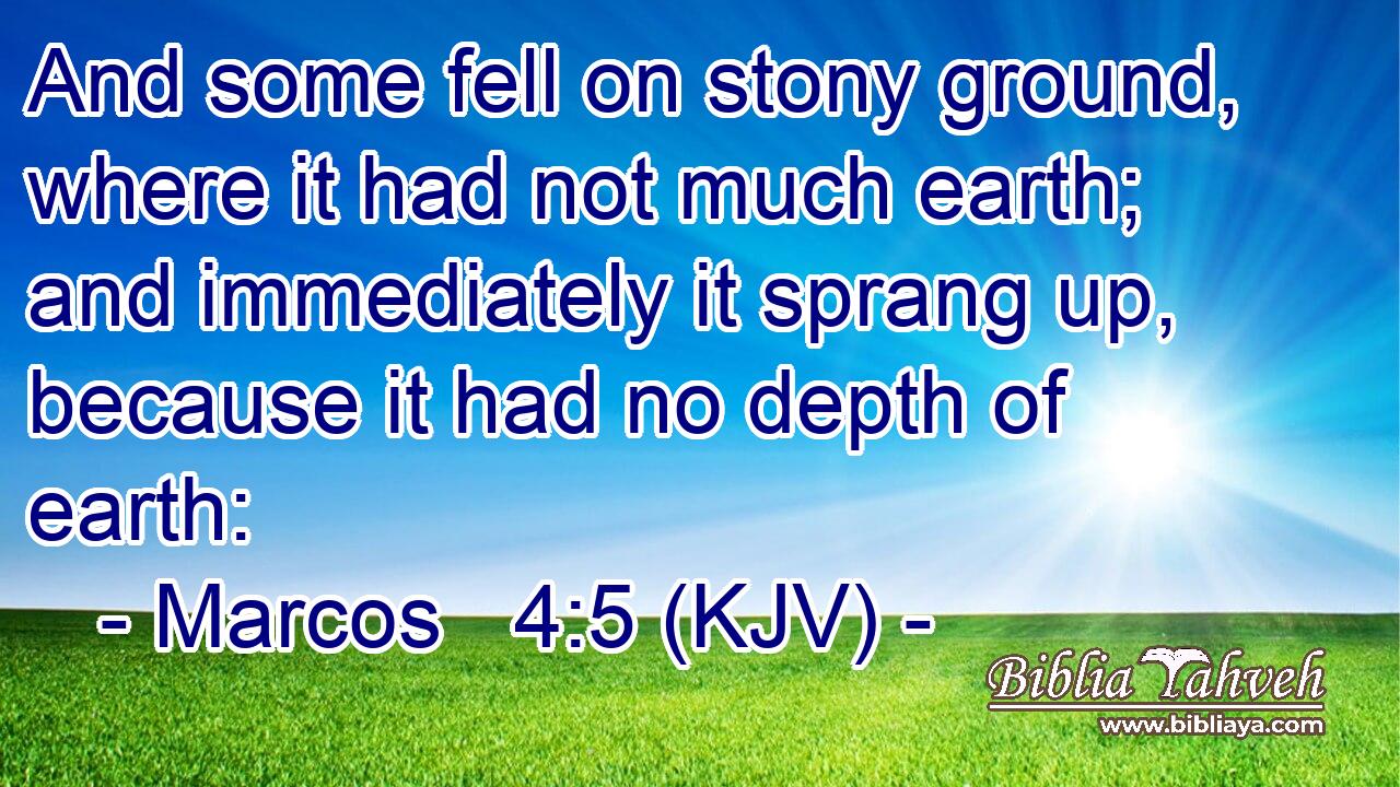 And some fell on stony ground, where it had not much earth; and immediately it sprang up, because it had no depth of earth: