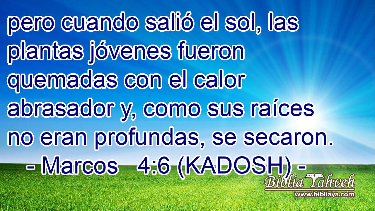  pero cuando salió el sol, las plantas jóvenes fueron quemadas con el calor abrasador y, como sus raíces no eran profundas, se secaron. 