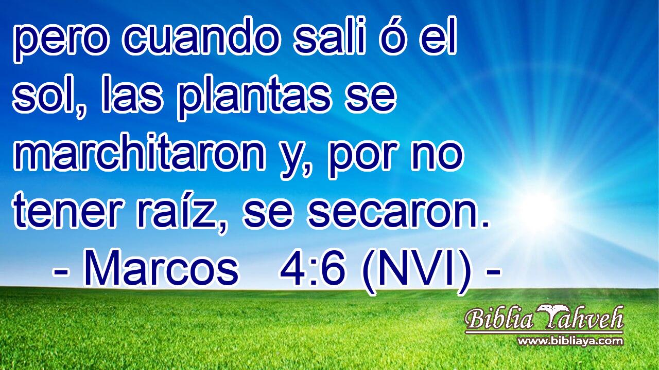  pero cuando sali ó el sol, las plantas se marchitaron y, por no tener raíz, se secaron. 