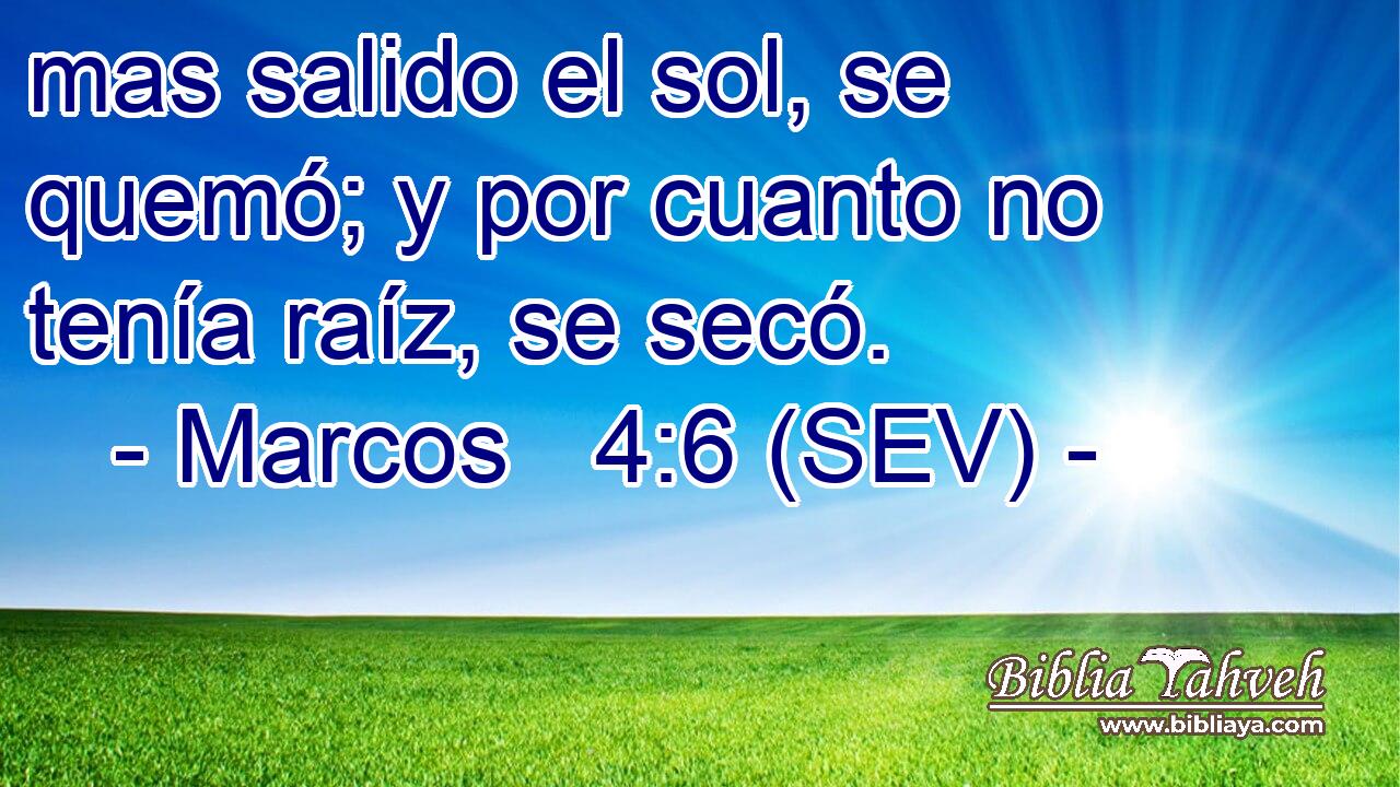 mas salido el sol, se quemó; y por cuanto no tenía raíz, se secó.