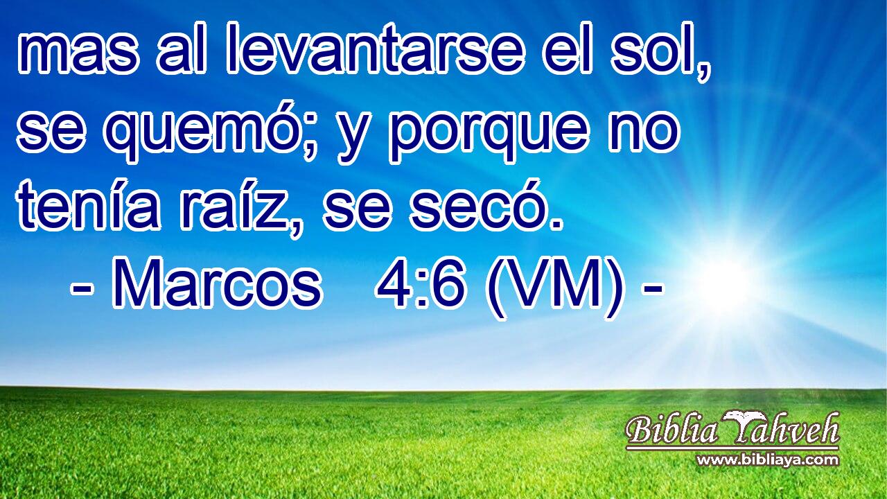  mas al levantarse el sol, se quemó; y porque no tenía raíz, se secó. 