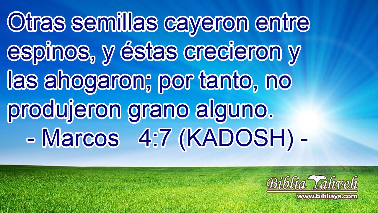  Otras semillas cayeron entre espinos, y éstas crecieron y las ahogaron; por tanto, no produjeron grano alguno. 