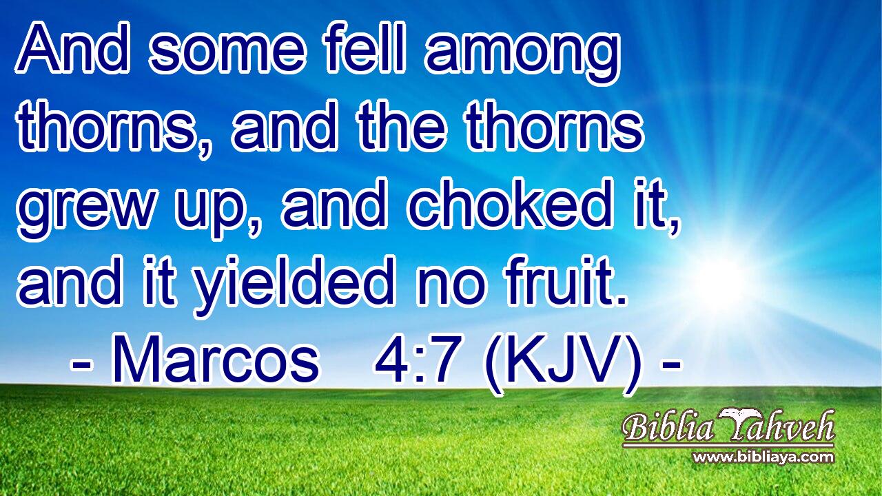 And some fell among thorns, and the thorns grew up, and choked it, and it yielded no fruit.