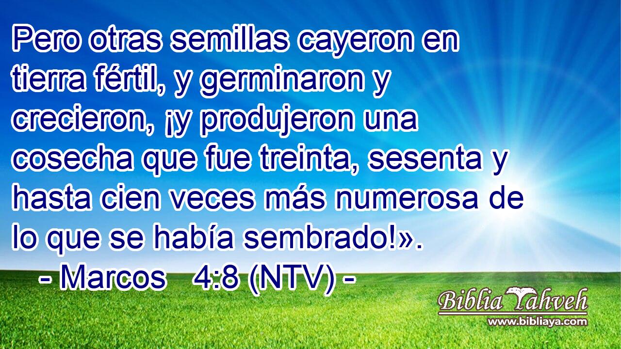 Pero otras semillas cayeron en tierra fértil, y germinaron y crecieron, ¡y produjeron una cosecha que fue treinta, sesenta y hasta cien veces más numerosa de lo que se había sembrado!».