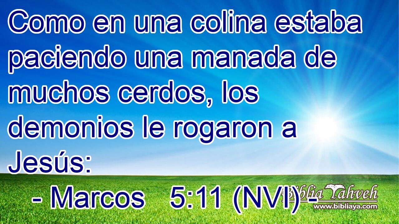  Como en una colina estaba paciendo una manada de muchos cerdos, los demonios le rogaron a Jesús: 