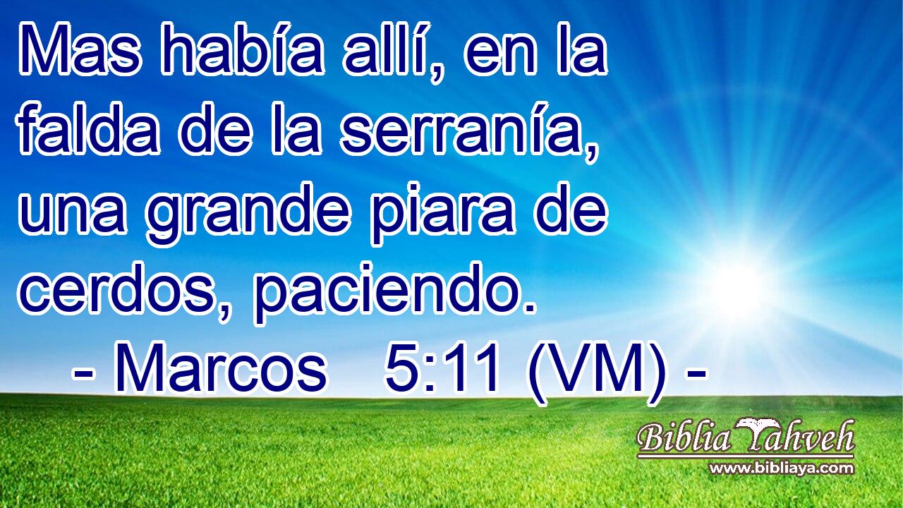  Mas había allí, en la falda de la serranía, una grande piara de cerdos, paciendo. 
