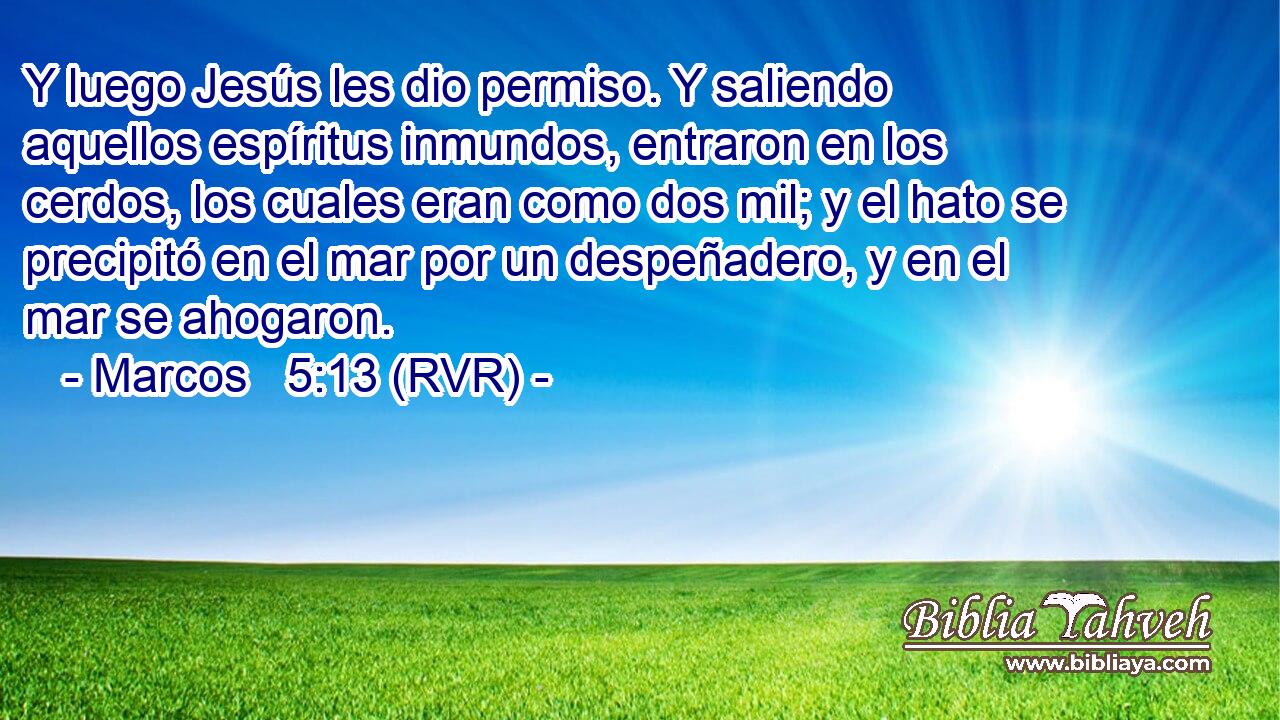 Y luego Jesús les dio permiso. Y saliendo aquellos espíritus inmundos, entraron en los cerdos, los cuales eran como dos mil; y el hato se precipitó en el mar por un despeñadero, y en el mar se ahogaron.
