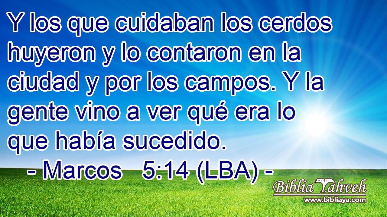 Y los que cuidaban los cerdos huyeron y lo contaron en la ciudad y por los campos. Y la gente vino a ver qué era lo que había sucedido.