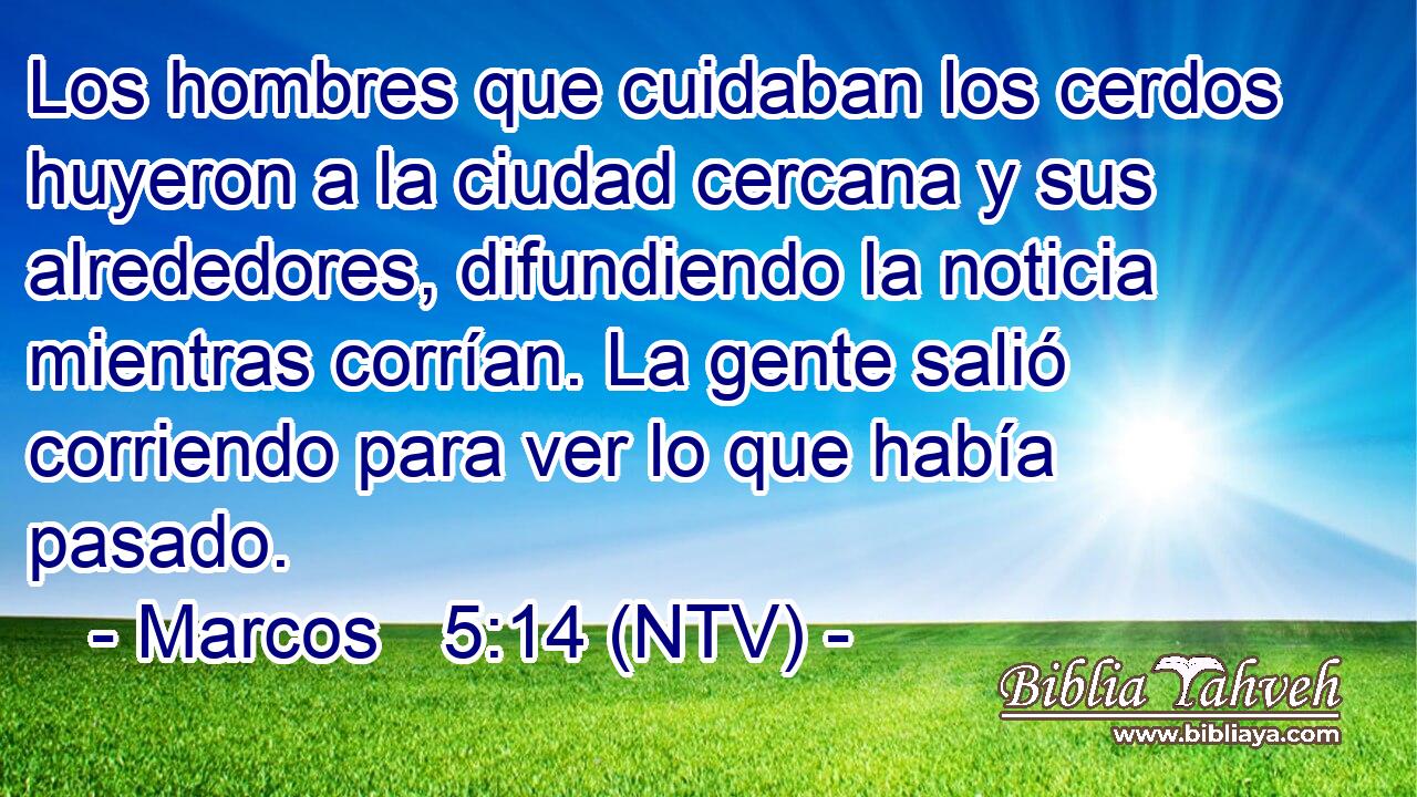 Los hombres que cuidaban los cerdos huyeron a la ciudad cercana y sus alrededores, difundiendo la noticia mientras corrían. La gente salió corriendo para ver lo que había pasado.