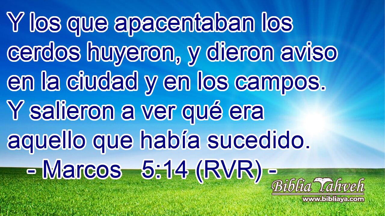 Y los que apacentaban los cerdos huyeron, y dieron aviso en la ciudad y en los campos. Y salieron a ver qué era aquello que había sucedido.