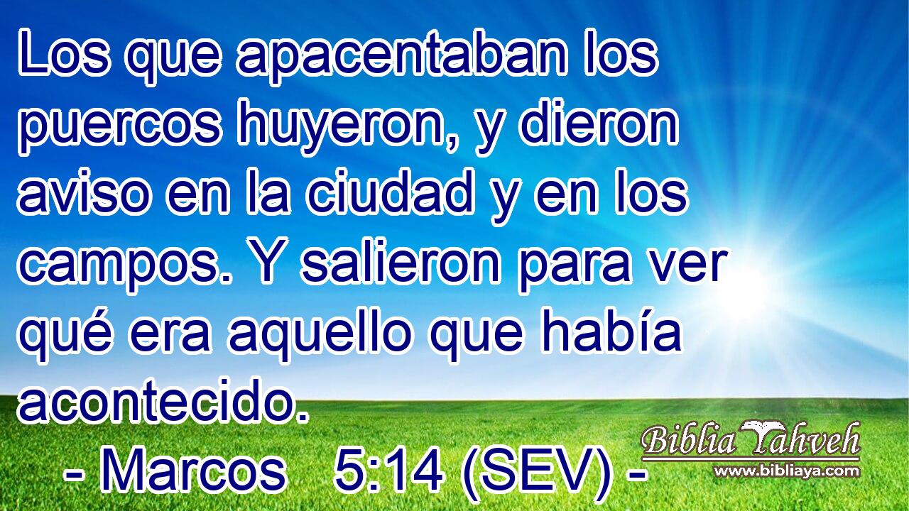 Los que apacentaban los puercos huyeron, y dieron aviso en la ciudad y en los campos. Y salieron para ver qué era aquello que había acontecido.