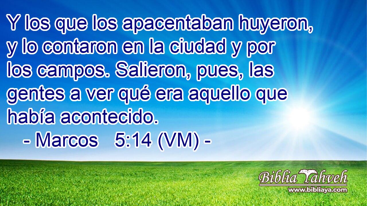  Y los que los apacentaban huyeron, y lo contaron en la ciudad y por los campos. Salieron, pues, las gentes a ver qué era aquello que había acontecido. 