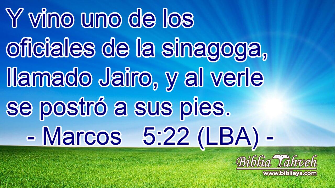 Y vino uno de los oficiales de la sinagoga, llamado Jairo, y al verle se postró a sus pies.