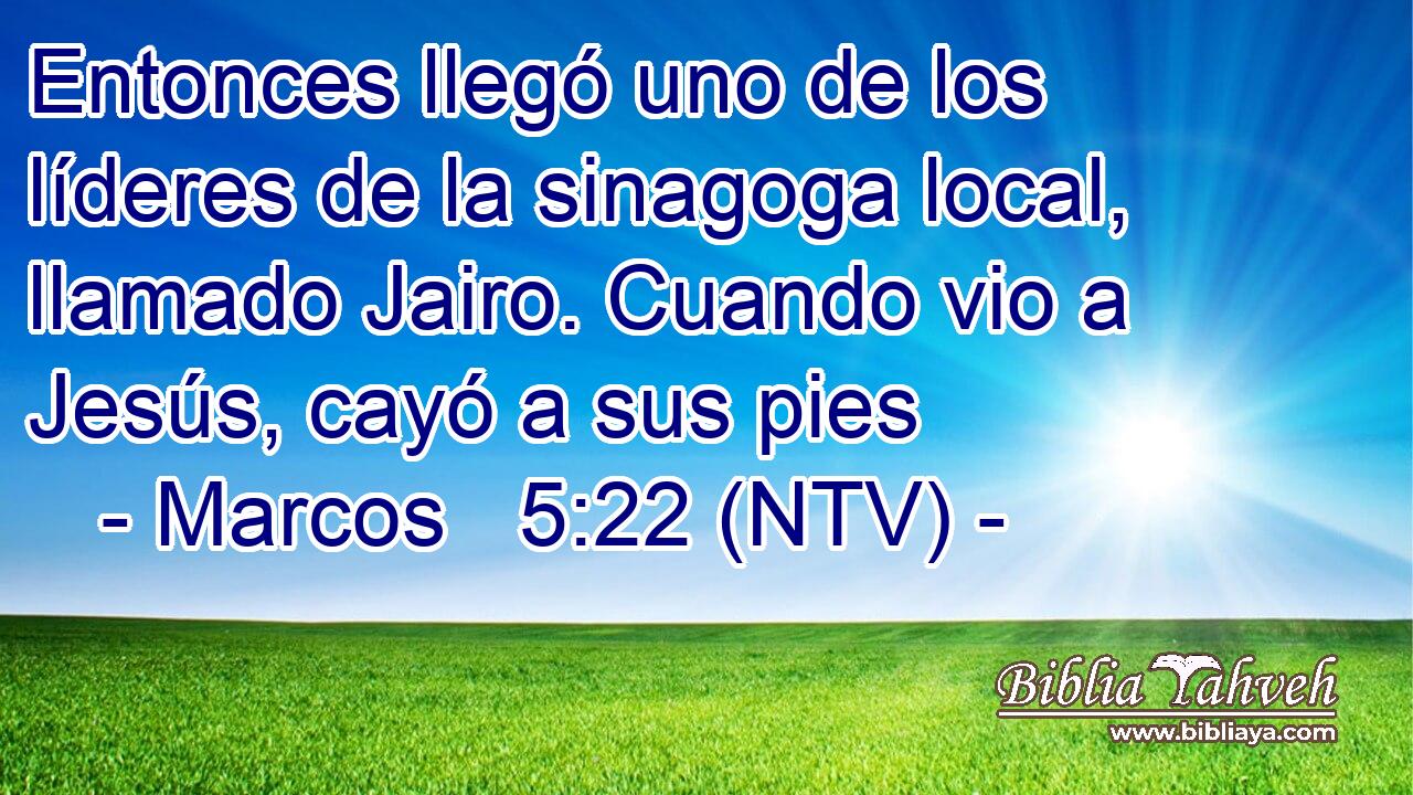 Entonces llegó uno de los líderes de la sinagoga local, llamado Jairo. Cuando vio a Jesús, cayó a sus pies