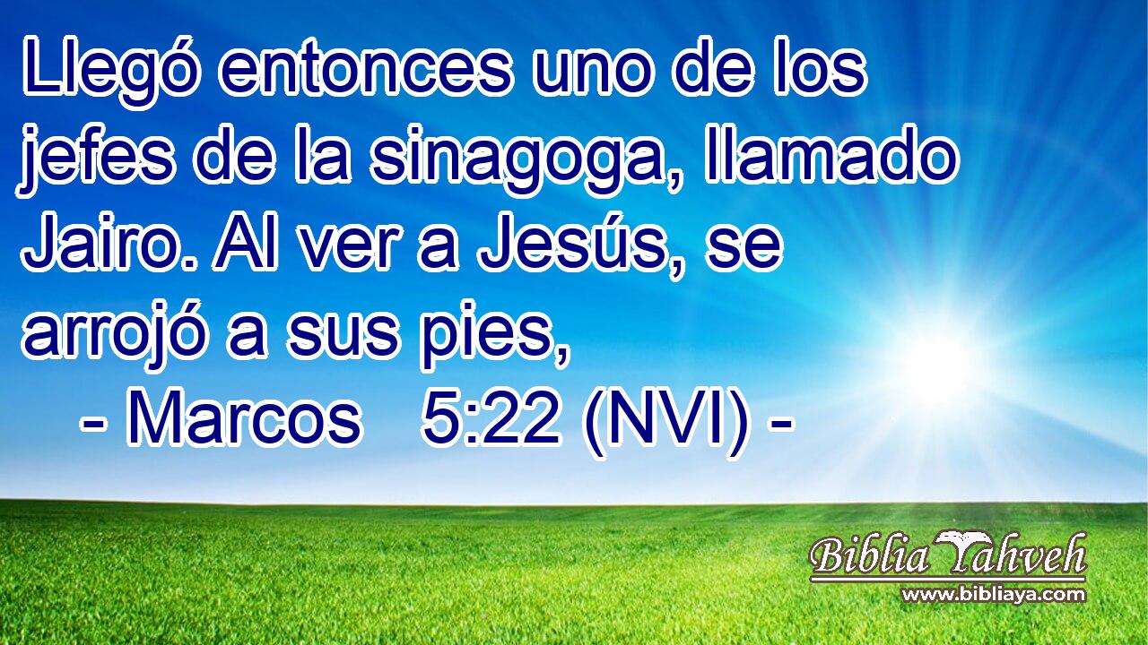  Llegó entonces uno de los jefes de la sinagoga, llamado Jairo. Al ver a Jesús, se arrojó a sus pies, 